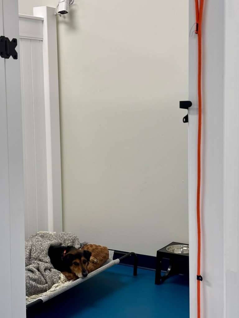 Overnight boarding at Seaside Resort & Spa