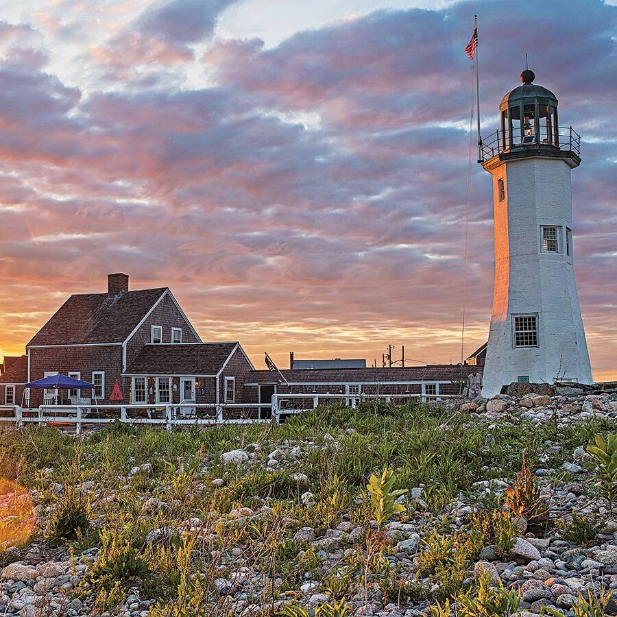 Seaside Pet Spa in Scituate, MA - Professional Dog & Cat Grooming on the South Shore