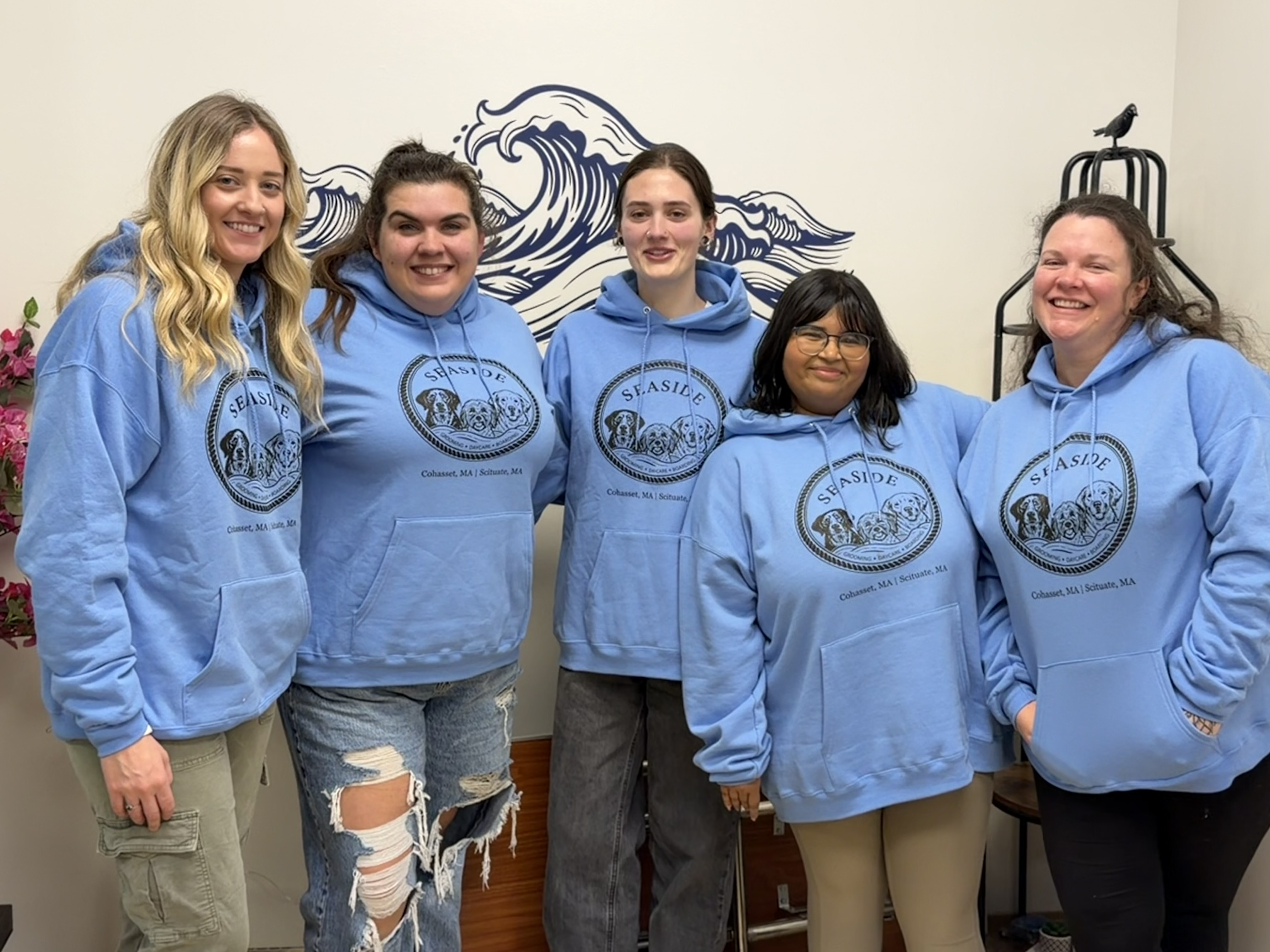 Team working with dogs